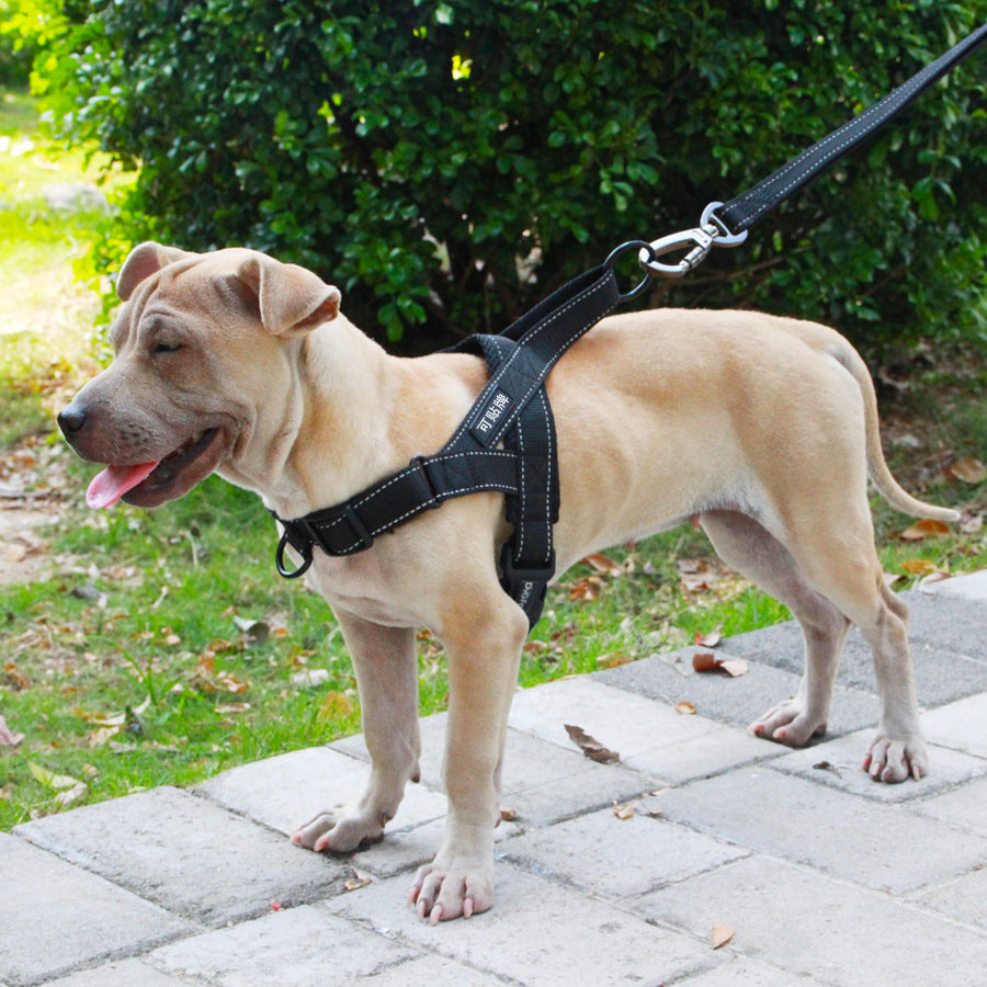 Durable Adjustable Dog Harness + Rope Leash