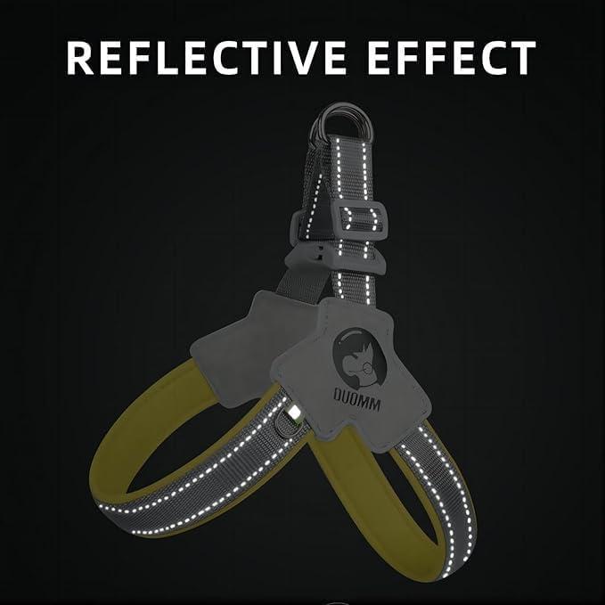 Adjustable No-Pull Pet Harness & Leash Set