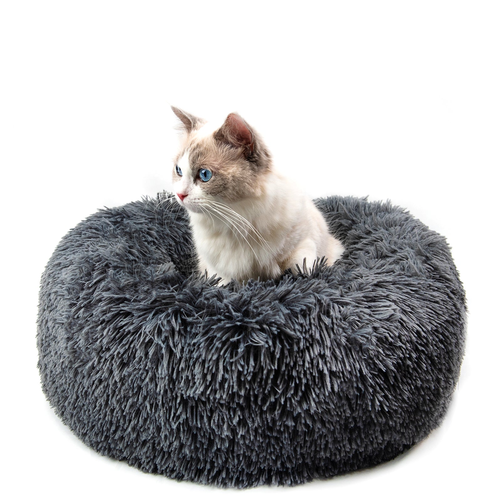 Cozy Round Plush Pet Bed — Perfect for Small Dogs & Cats