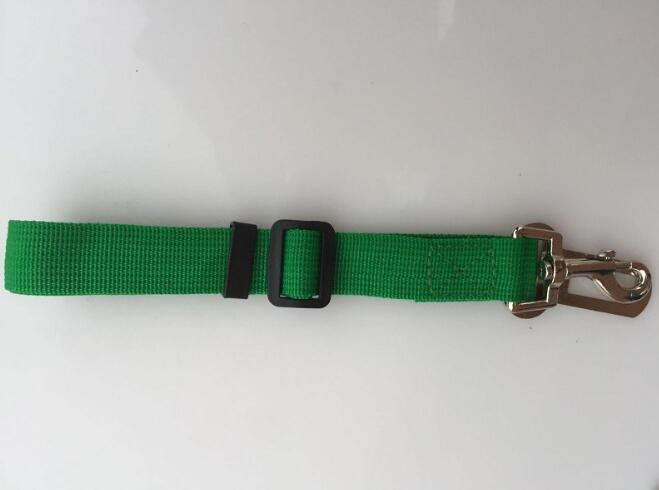 Travel Car Seat Leash for Dogs