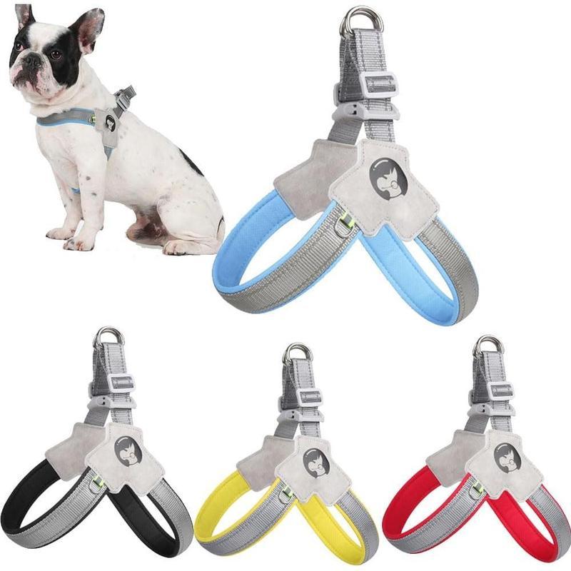 Adjustable No-Pull Pet Harness & Leash Set