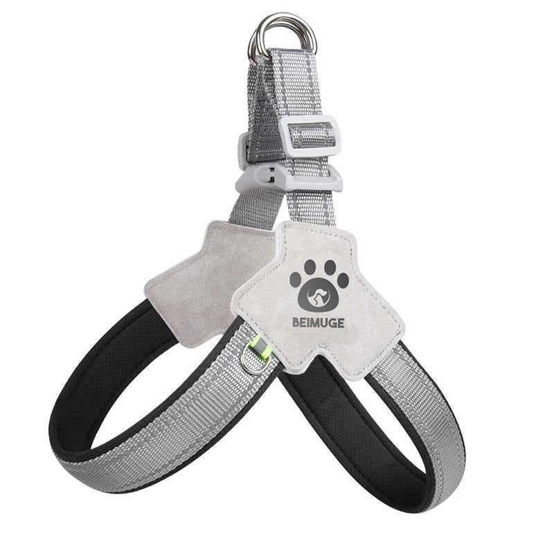 Adjustable No-Pull Pet Harness & Leash Set