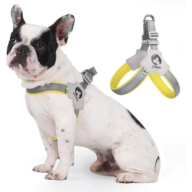 Adjustable No-Pull Pet Harness & Leash Set
