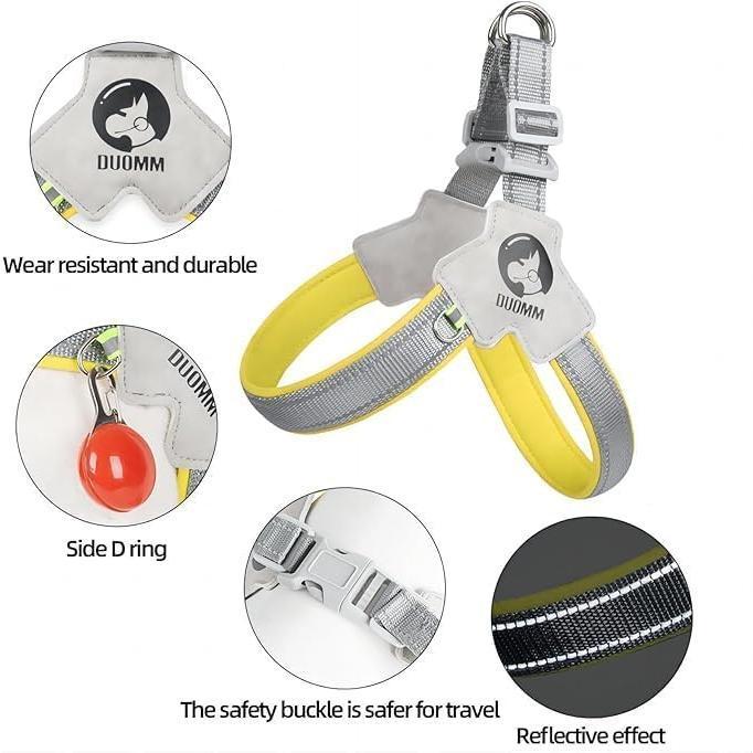 Adjustable No-Pull Pet Harness & Leash Set