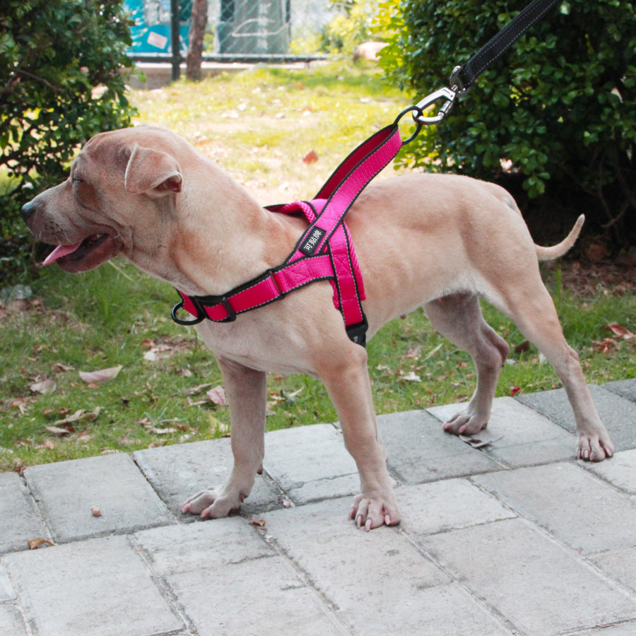 Durable Adjustable Dog Harness + Rope Leash