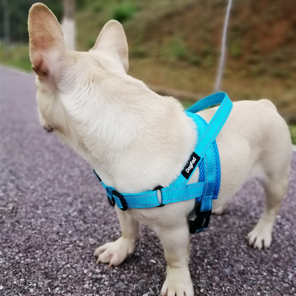 Durable Adjustable Dog Harness + Rope Leash